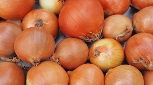 Cibule žlutá 5 Kg